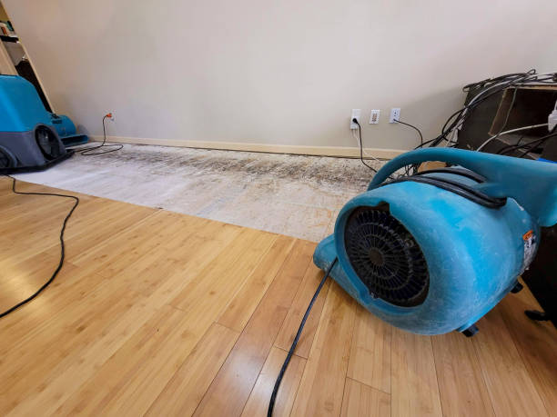 Professional Water Removal technician working in Totowa, NJ